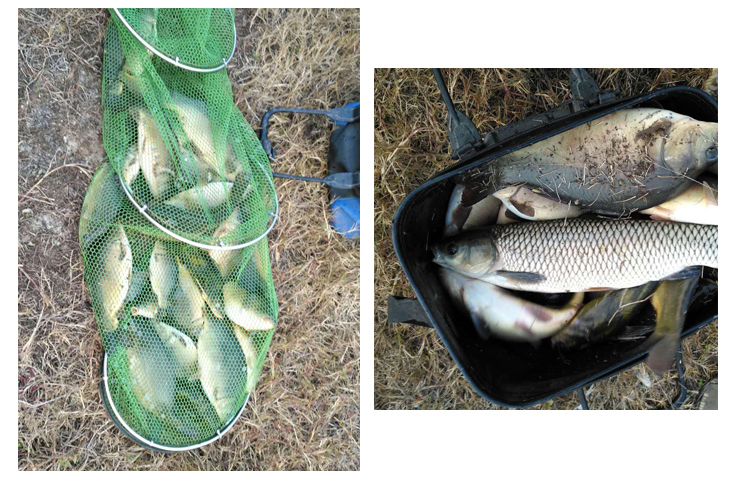 绌洪挬鎮熼亾绂呴殣楸肩,绌洪挬鎮熼亾绂呴殣鐖嗙瑙嗛