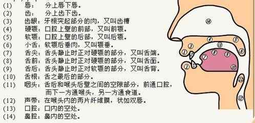 中国第一伪娘老八的故事系列04:伪娘老八和现代伪声的出现01