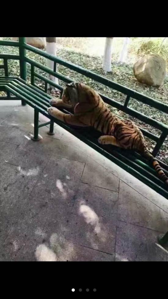 初恋情人为了所谓的爱抛弃婚姻,初恋癌症男子去照顾