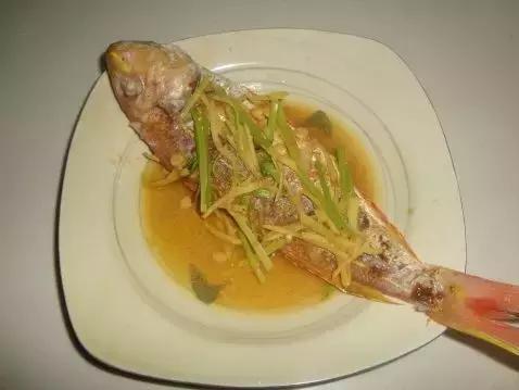 海边渔民怎么炖鱼,哪种海鱼炖鱼最好吃