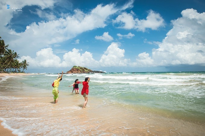 蓝色大海女人,蓝色大海和绿色大海