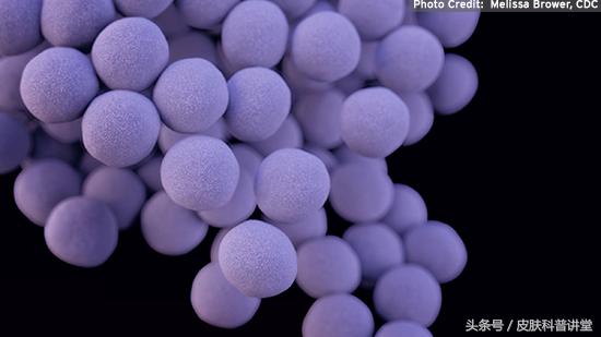 皮肤毛囊炎最简单自愈方法,皮肤科普小讲堂第一讲