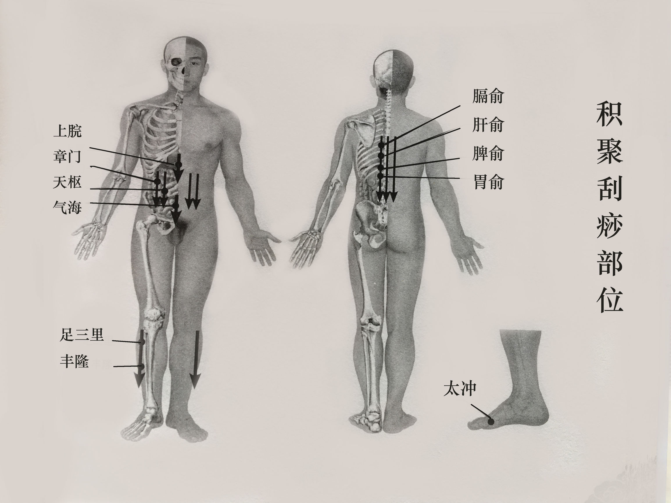 前胸颈后刮痧的正确方法,前胸和肚子的刮痧手法