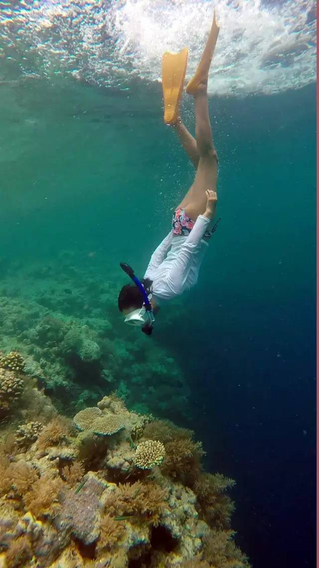 泰国|涛岛:在海上漂了一年,我终于沉下去了