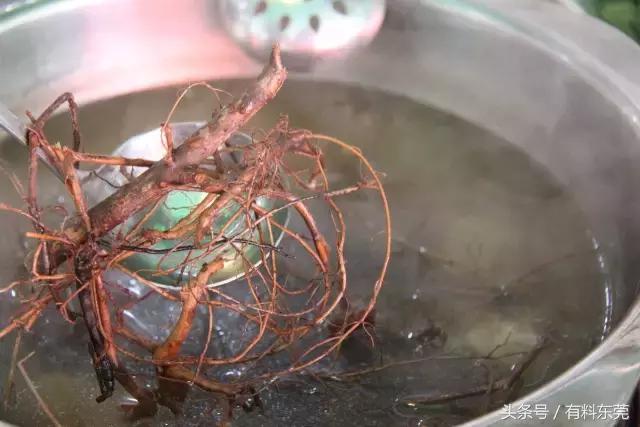 58蚊牛肉火锅任食又来啦！仲有闻所未闻的“牛奶树根”煽鸡煲