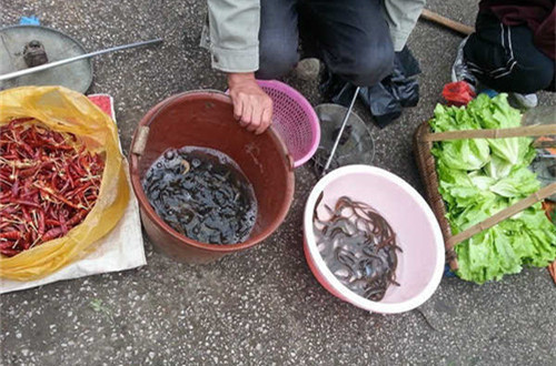 桂林阳朔西街值得吃的,桂林阳朔景区有什么好吃的