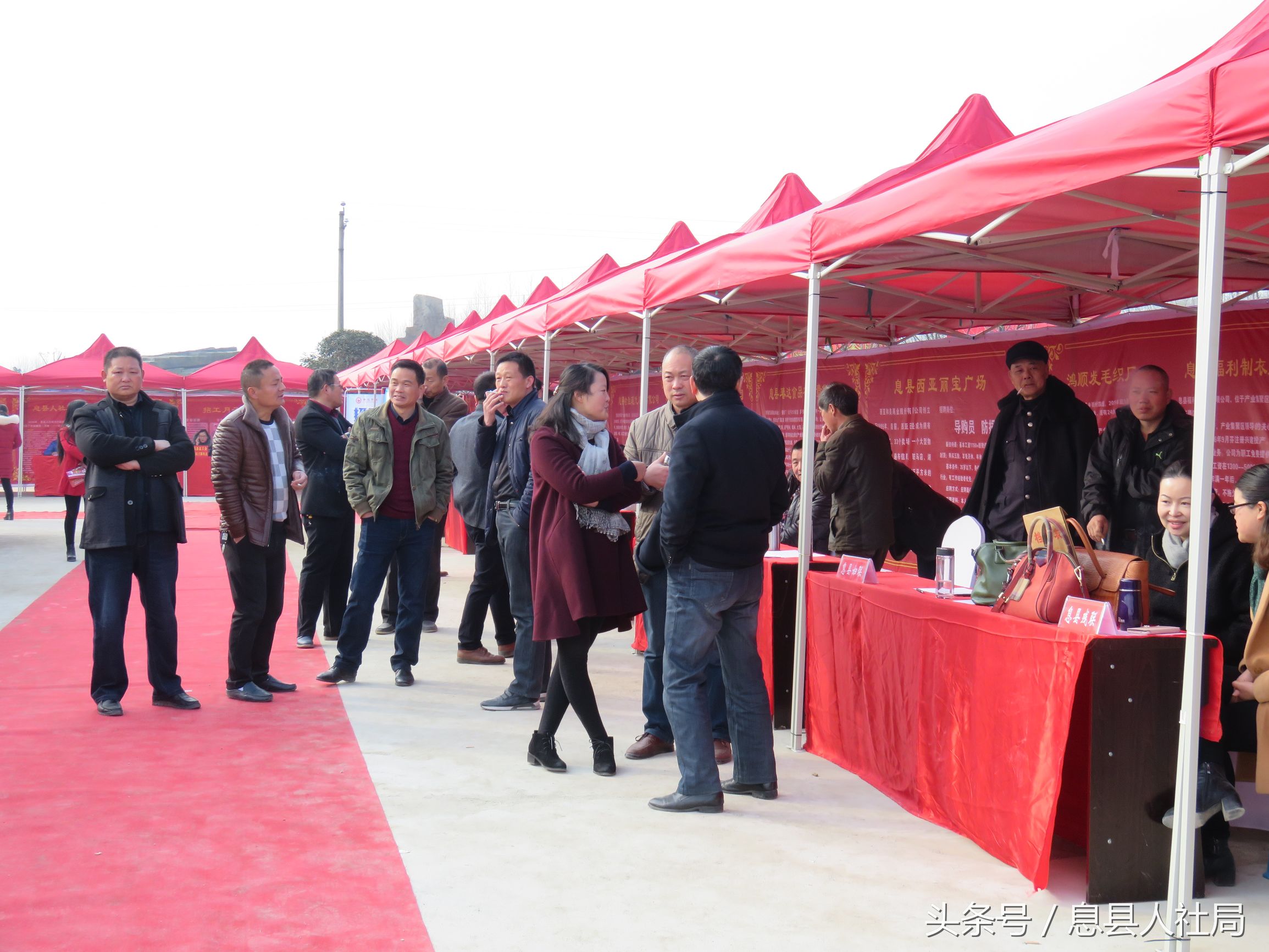 河南新蔡春风行动,信阳市春风行动