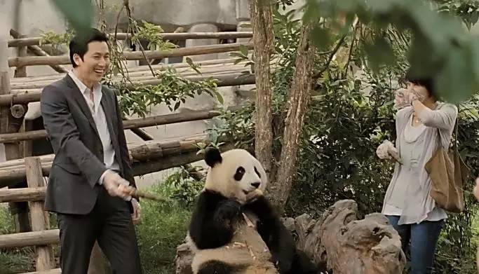 高圆圆郑雨盛甜蜜镜头,高圆圆和韩国明星郑雨盛