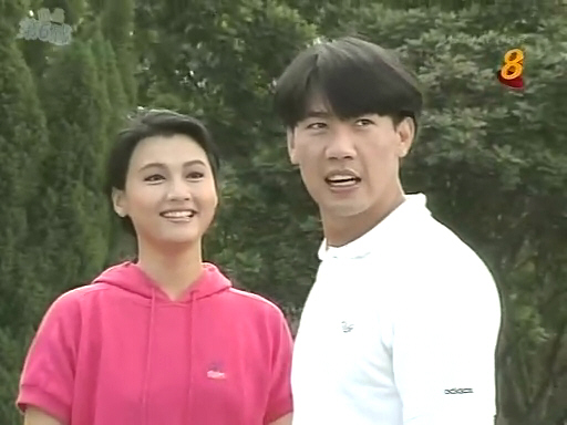 新加坡老电视剧推荐经典,近二十年新加坡经典电视剧