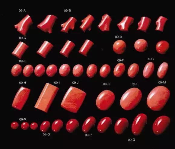 怎么区别是真正的红珊瑚,红珊瑚的介绍和品种合集