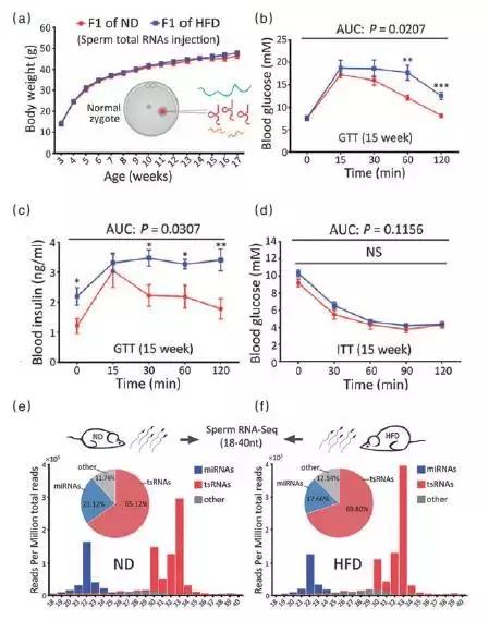 2022年中国重大科技盘点,2020年重大科学与工程