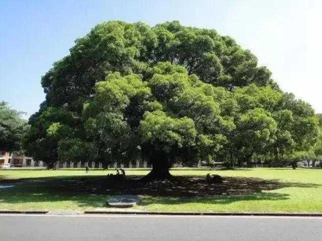 台南必吃的12道美食,台南美食哪里最好吃