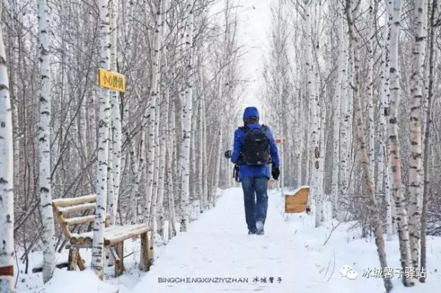北极神龙湾、女脚湾，天地间画出的婀娜