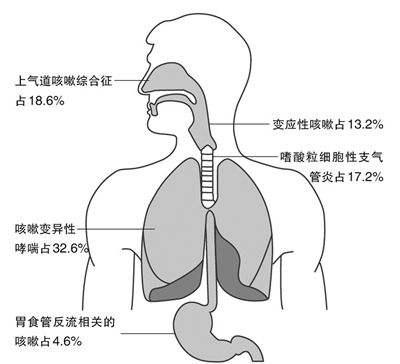 久咳不愈有什么民间方子,久咳不愈喝急支糖浆可以吗
