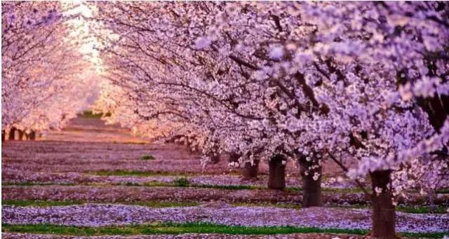 上海各条地铁线沿途景点大全,上海最惊艳的地铁路线