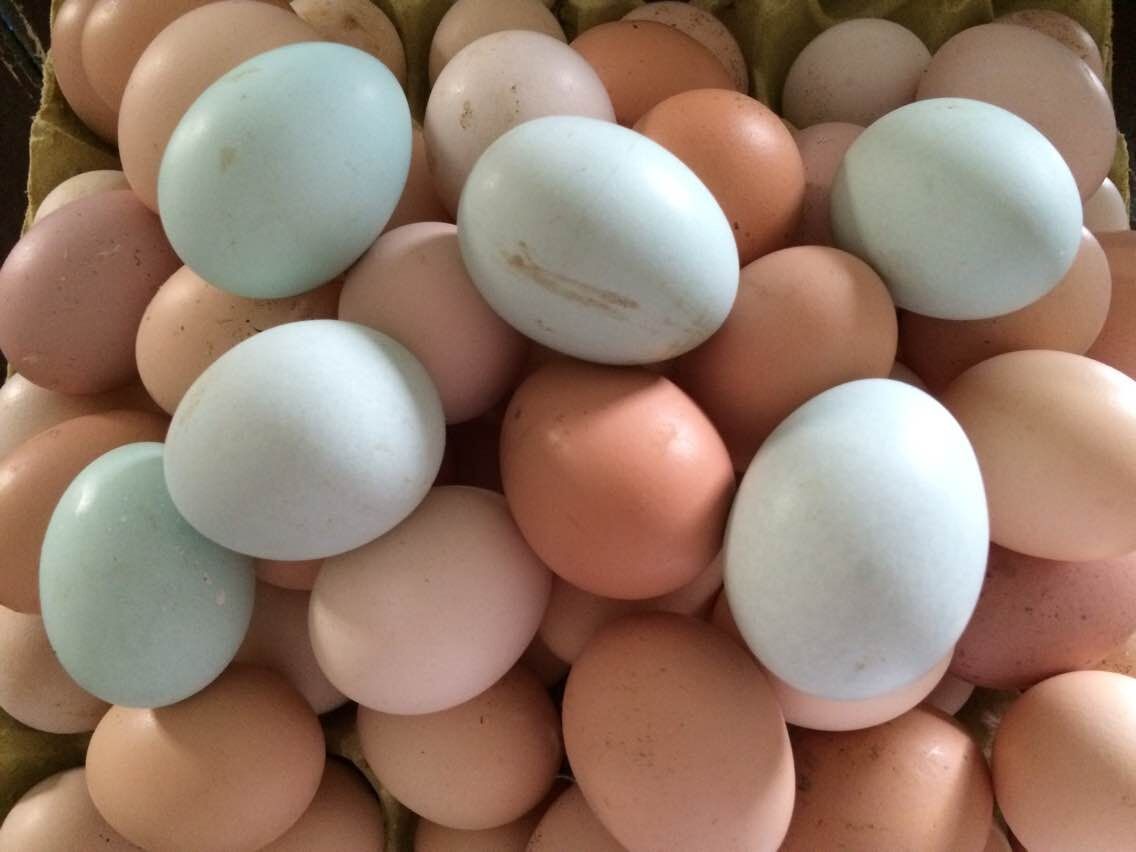 男朋友送过你什么奇葩礼物,问男朋友送过什么礼物给前任