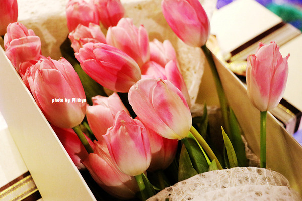 诱惑人心握寿司，带来心动的喜悦