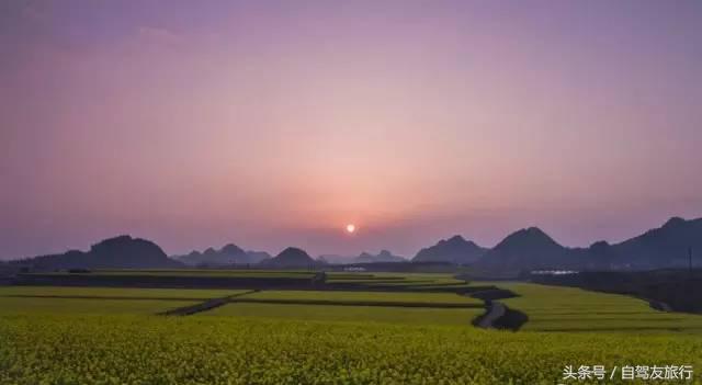 湖南赏花自驾游攻略,湖南旅游赏花攻略