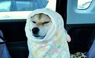 阜阳气温将下降到零下16度吗,阜阳34度天气预报