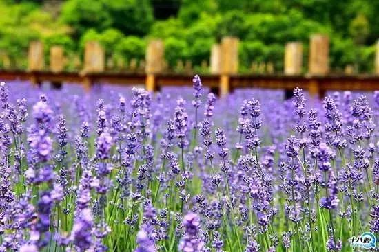 义乌这下要在全世界出名了！