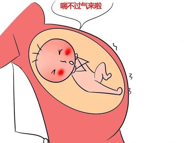 孕期胎儿保护方法,孕期胎儿保护措施有哪些方面