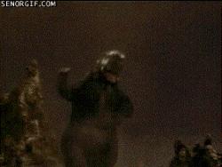 搞笑动图157期,鸡吃米搞笑动图