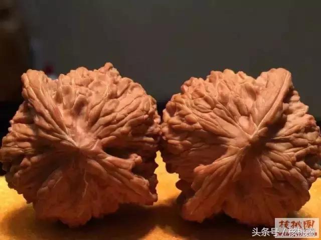 圆润的磨盘狮子头,文玩核桃磨盘狮子头有什么特征