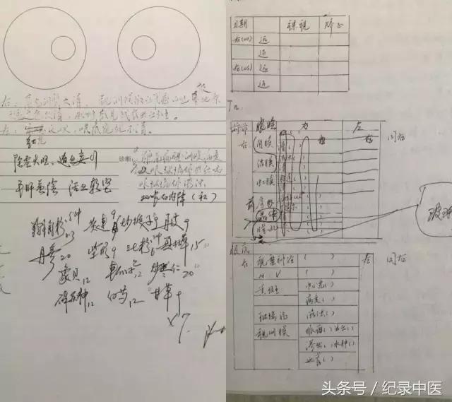 沙凤桐中医眼科,中医眼科大师沙凤桐