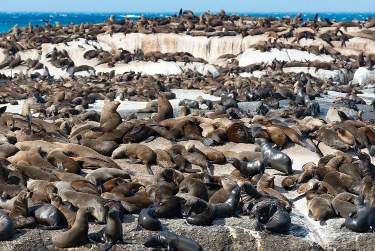 走进彩虹之国感受南非独特之美,彩虹之国南非