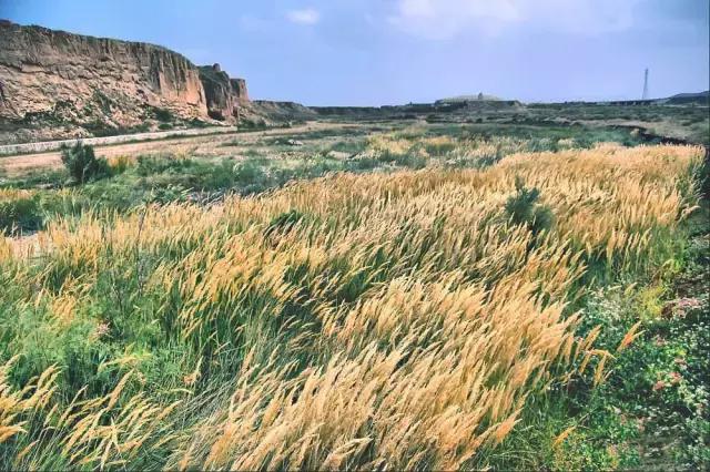 水洞沟长什么样好不好玩,围观说实话