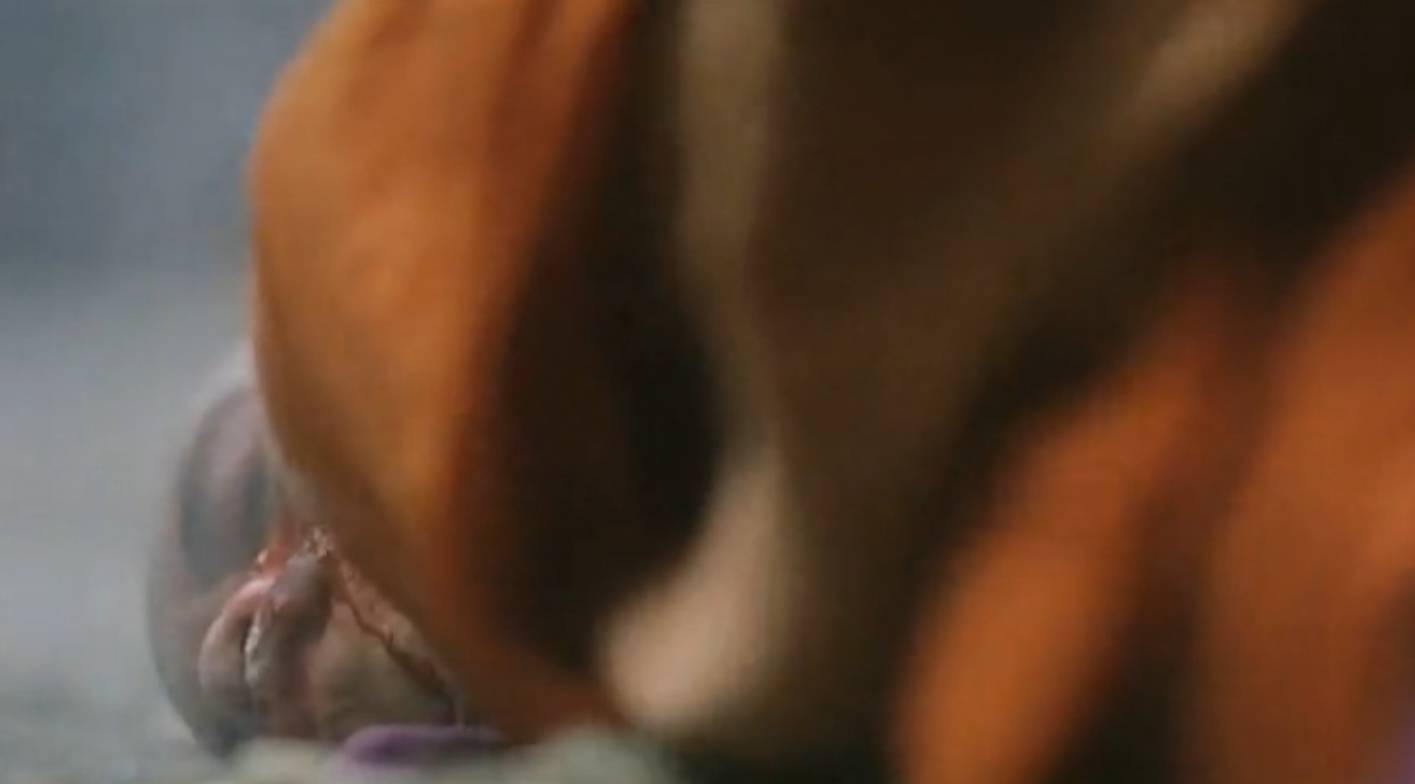 徐克的江湖才是江湖,徐克的风格