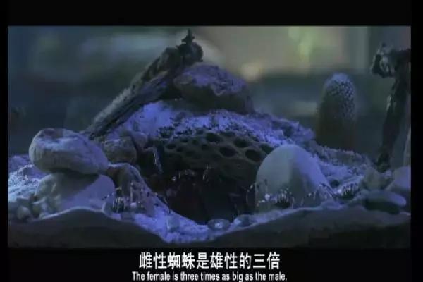 这是你们要的大长腿，备好纸巾，准备上下其手吧