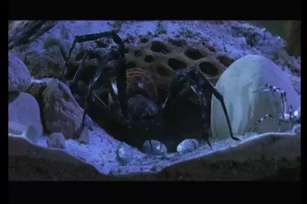 这是你们要的大长腿，备好纸巾，准备上下其手吧