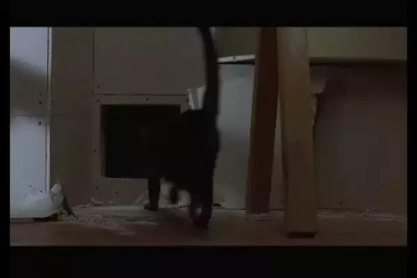 这是你们要的大长腿，备好纸巾，准备上下其手吧