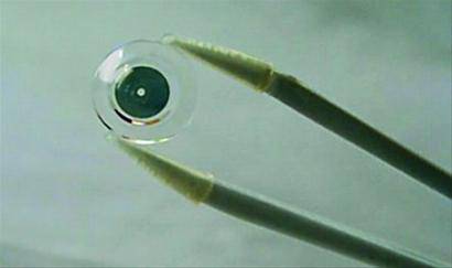 真实的特工黑科技武器,奇特武器大揭秘超级间谍武器