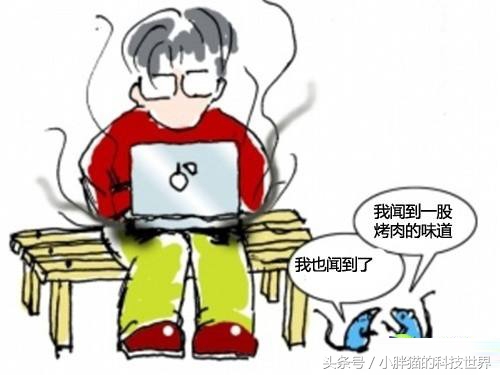 xps132021款和4k版本的区别,纠结很久最后买了ipad