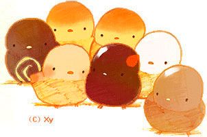 小学生量词常识,关于量词的知识