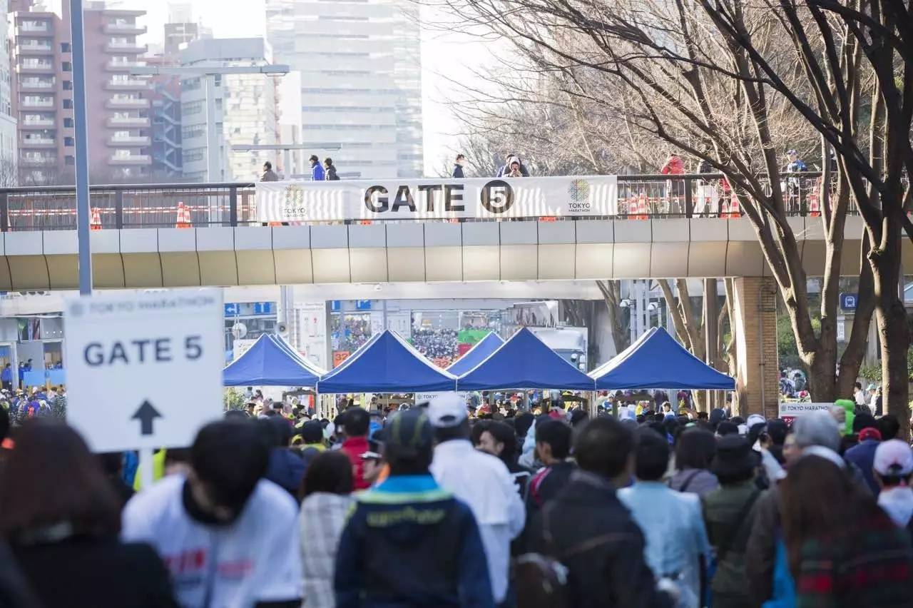 粗姐东马日记（二）2017年东京马拉松，四位中国跑友这样说