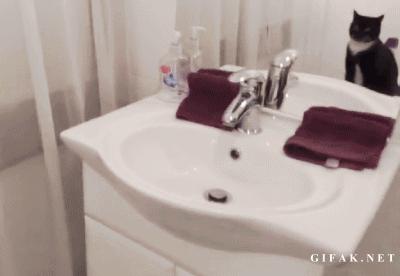 钢材销售员的一天，简直太形象了！笑喷……