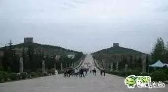 6个有趣奇闻异事保证你没听过,世界奇闻异事大全集