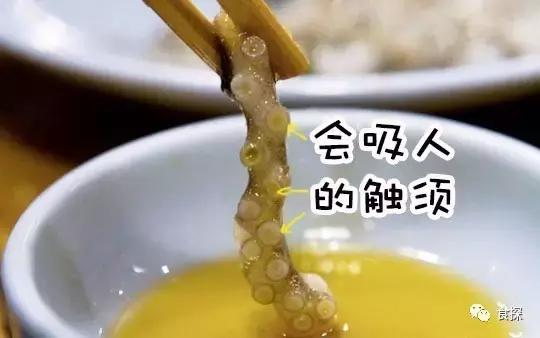 济州岛可以看海也可以吃,济州岛五天四夜逛吃之旅