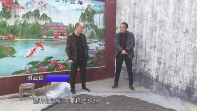 河南省永城市陈集镇望庄村时楼村,陈集镇望庄村