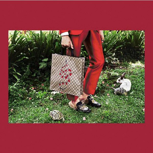 为什么中国女人喜欢美国男人,为什么中国女人那么喜欢韩国人