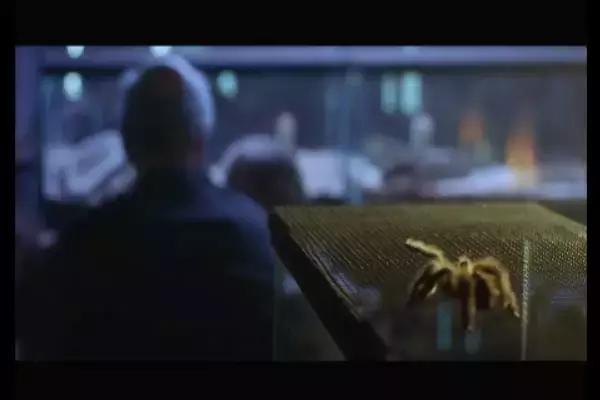 这是你们要的大长腿，备好纸巾，准备上下其手吧