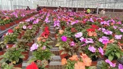 西安市内半日的小众绝佳去处,西安往东好玩儿的景点