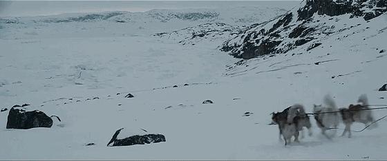 这些猫狗男女都爱看