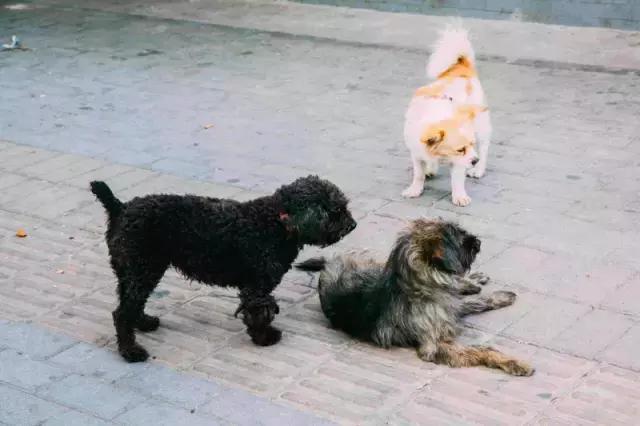 西乡县各乡镇的故事,西乡有什么故事