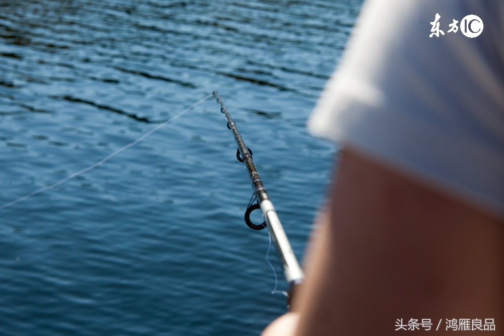 鲤鱼谷物类饵料 (钓鲤鱼谷物香鱼饵推荐)