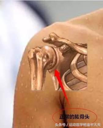 大夫把患者胳膊掰断了怎么赔,医生胳膊酸怎么办