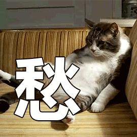 爱马仕专柜真包换假包,爱马仕假包